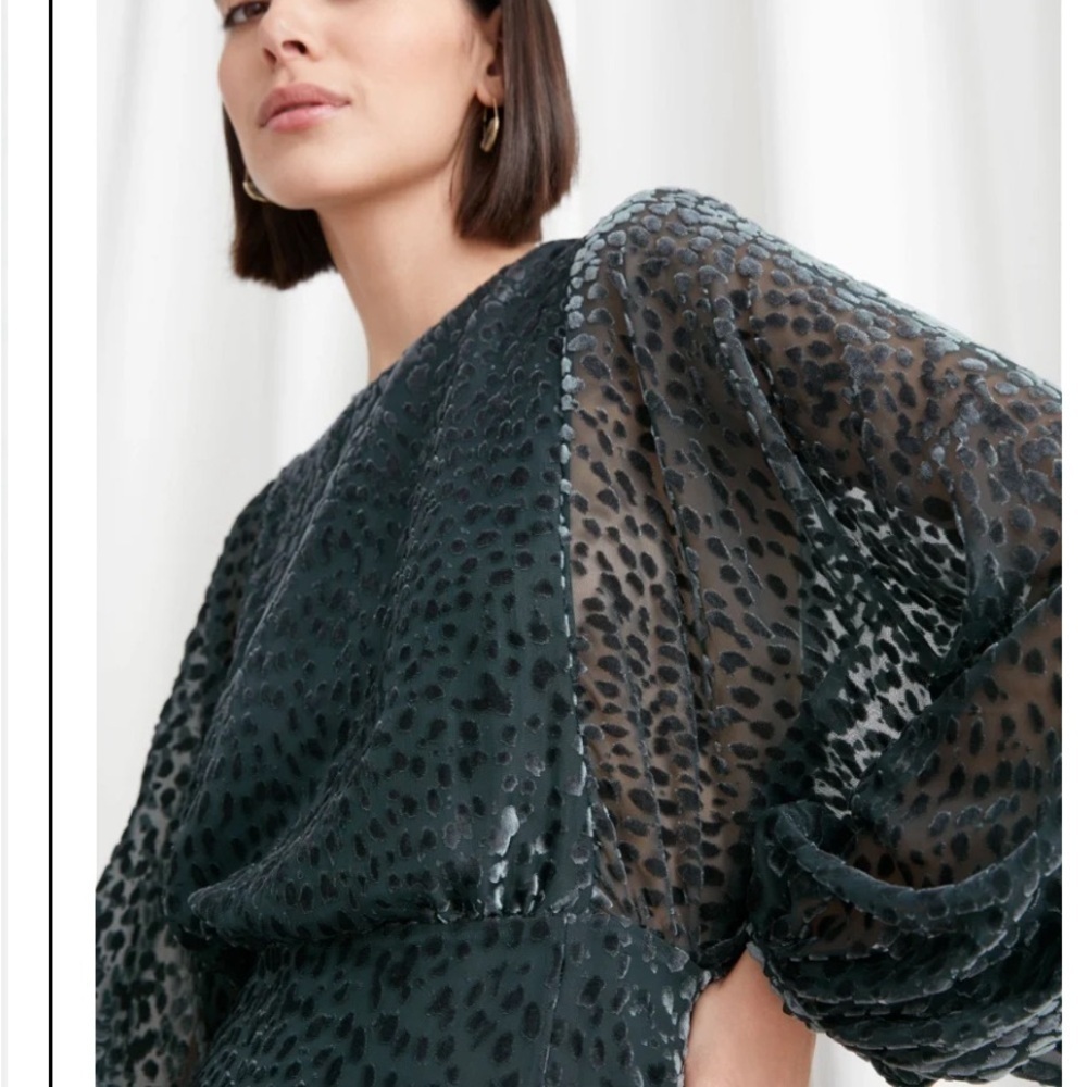 & OTHER STORIES Sheer Voluminous Sleeve Mini Dress - Picture 3 of 11